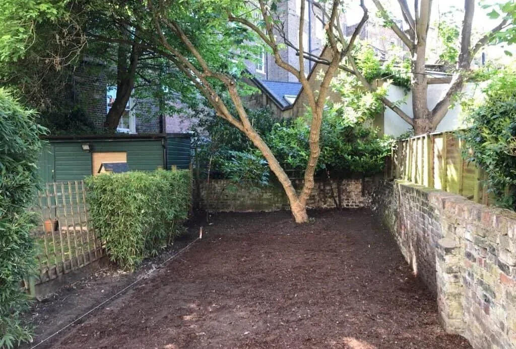 Ground cleared of overgrowth around a retained garden tree