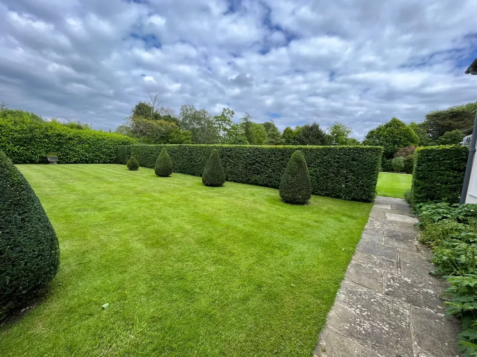 Finished hedge and garden work by Sharp Hedges